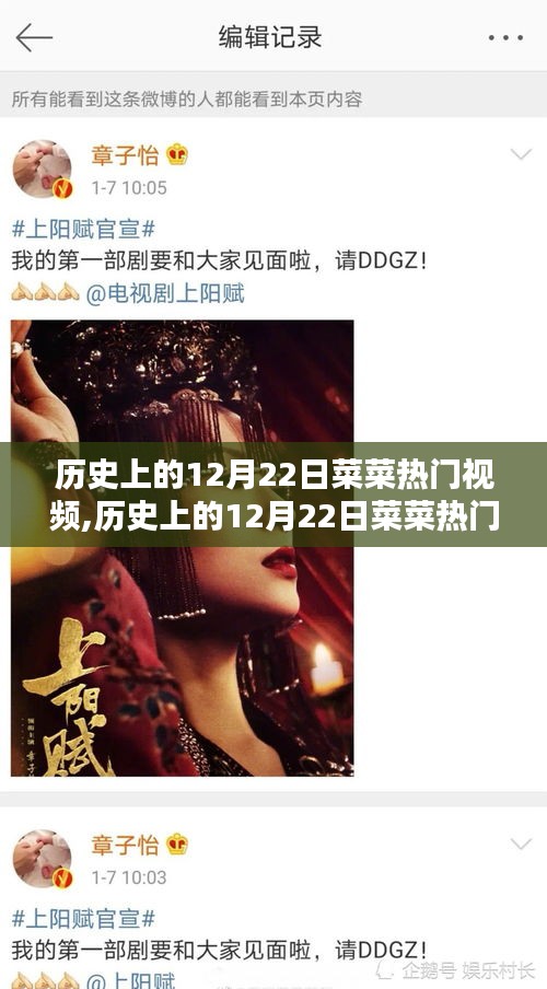 菜菜热门视频回顾，历史上的十二月二十二日概览