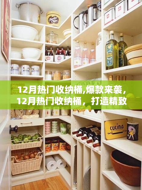 12月热门收纳桶，打造精致生活空间的爆款选择