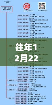 揭秘往年12月22日热门掩盖热门背后的深意，小红书带你洞悉真相
