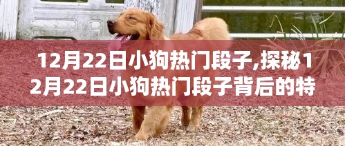 观往知来 第3页