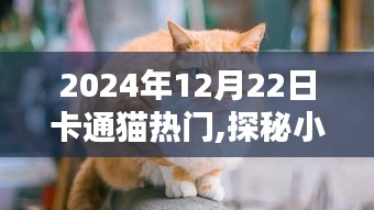 探秘小巷深处的卡通猫乐园，2024年12月22日的独特邂逅之旅