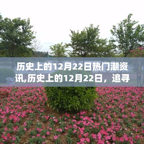 历史上的12月22日，追寻自然美景与内心宁静的奇妙旅程，热门潮资讯一览