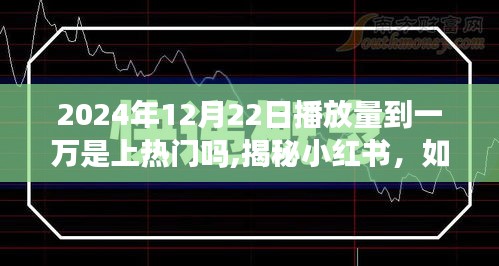 揭秘小红书视频流量密码，如何解读播放量破万背后的秘密？