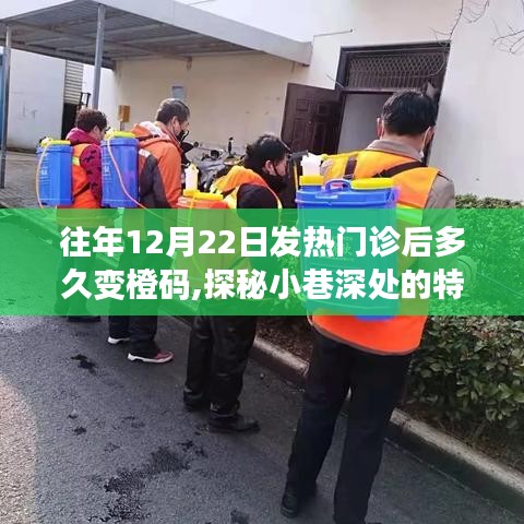 发热门诊后橙码的秘密，探秘小巷深处的特色小店与神秘之旅