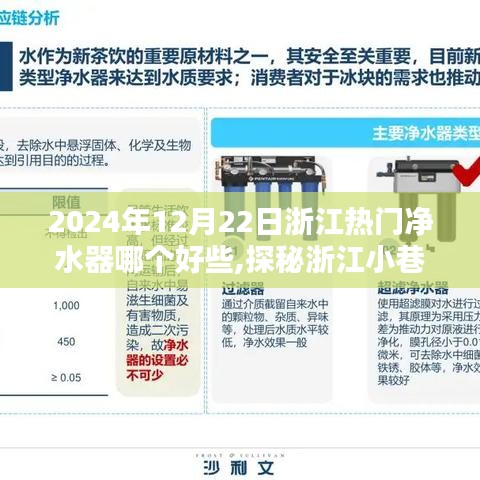 浙江净水器宝藏探秘，最受瞩目的净水器品牌及推荐（2024年12月22日）