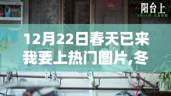 冬日暖阳映春心，我与春天的意外邂逅图片分享，12月22日春天已来临