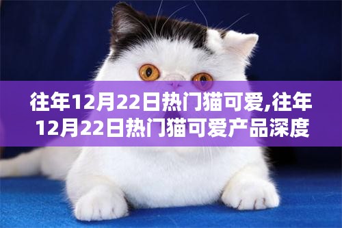 『往年12月22日热门猫可爱产品深度解析与评测』