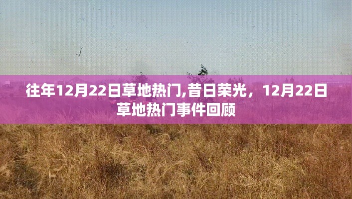 昔日荣光重现，草地热门事件回顾，揭秘草地12月22日的辉煌时刻