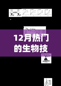 夸夸其谈