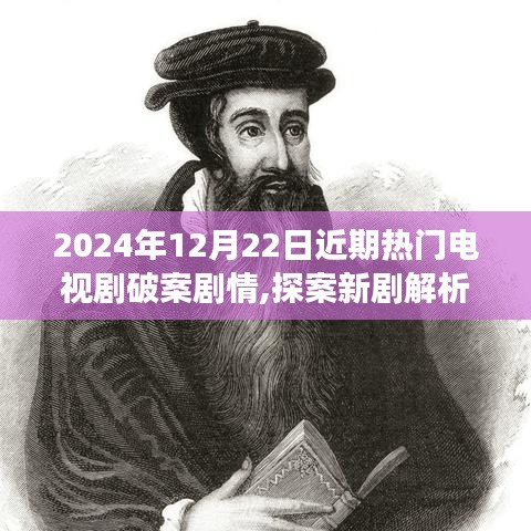 探案新剧解析，剧情角色与悬疑元素深度解读（2024年12月）