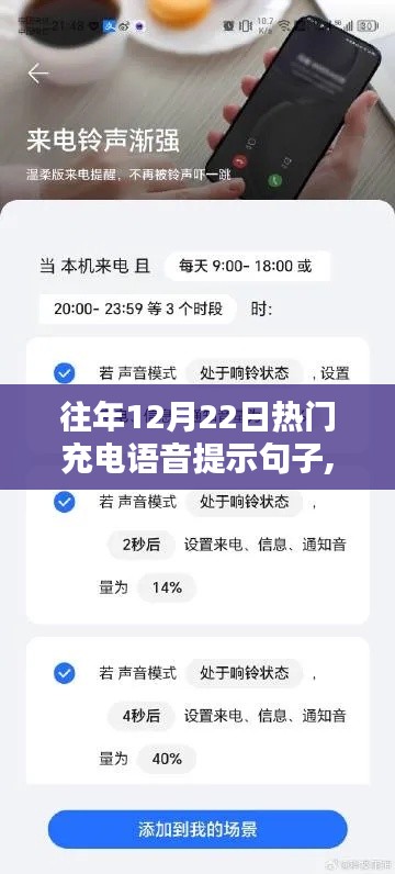 革新充电体验，智能语音提示引领潮流开启未来智能生活新纪元