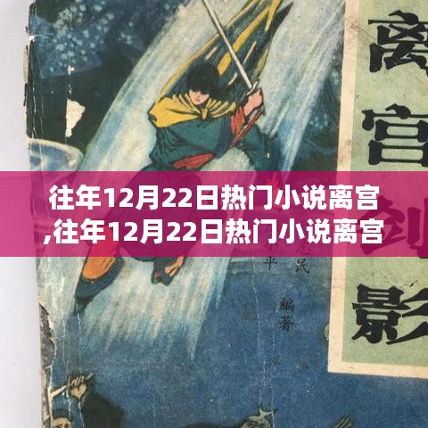 往年12月22日热门小说离宫深度评测与介绍