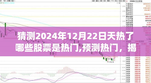 揭秘2024年冬至日股市热门股票动向，预测与揭秘天热股票热门趋势