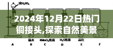 铜接头背后的故事与心灵启示，探索自然美景之旅的启示（热门铜接头探索之旅）