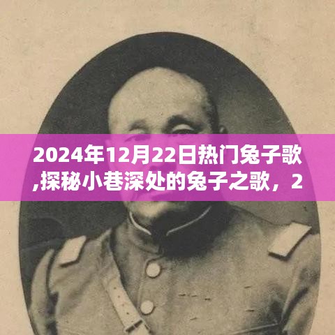探秘小巷深处的兔子之歌，一场不可错过的音乐盛宴（2024年12月22日）