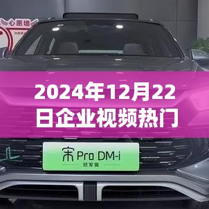 热门趋势分析