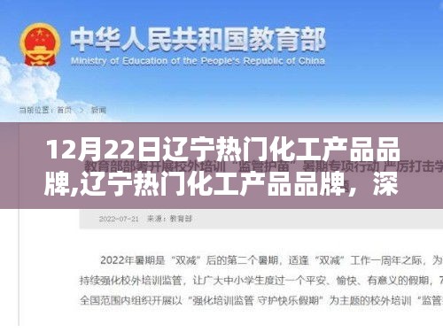 辽宁热门化工产品品牌深度解读与发展展望，最新动态及未来展望（12月22日）