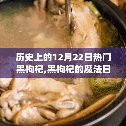 友情与陪伴