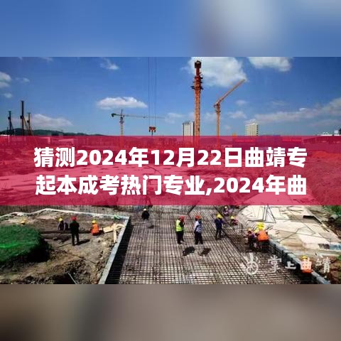 2024年曲靖成考热门专业猜想，自然怀抱中的心灵成长之旅