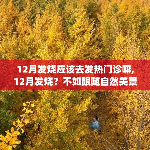 内心平和之旅
