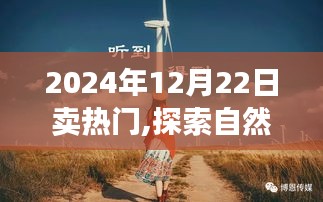 探索自然秘境，远离尘嚣的旅行盛宴，热门活动倒计时开启！