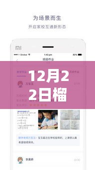 揭秘榴莲APP，为何成为12月22日的热门之选？