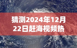 2024年赶海视频趋势预测，以12月22日为例的深入剖析