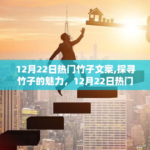 探寻竹子的魅力，热门竹子文案解析（12月22日）