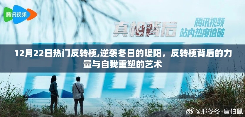 热门反转梗背后的力量，逆袭冬日的暖阳与自我重塑的艺术探索