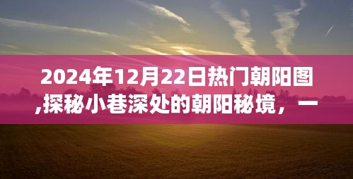 探秘朝阳秘境，特色小店的温暖故事与小巷深处的朝阳美景（2024年12月22日）