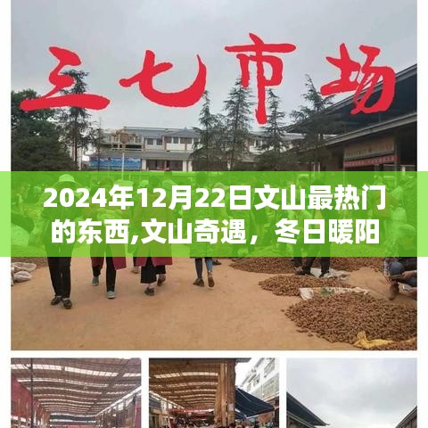 文山奇遇记，冬日暖阳下的热门奇缘与文山最炫风尚标