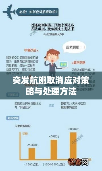 突发航班取消应对策略与处理方法