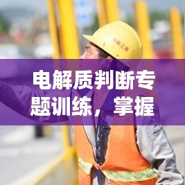 电解质判断专题训练，掌握核心知识，轻松应对作业挑战！