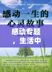 感动专题，生活中的温暖瞬间 触动心灵永恒情感