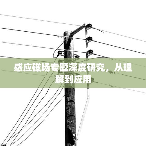 物离乡贵 第3页