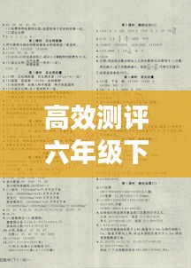 高效测评六年级下册数学：高效课堂答案六下数学 