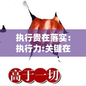 执行贵在落实：执行力:关键在于落实 