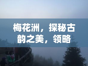 梅花洲，探秘古韵之美，领略醉人风光！