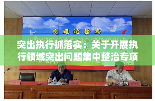 突出执行抓落实：关于开展执行领域突出问题集中整治专项行动的实施方案 