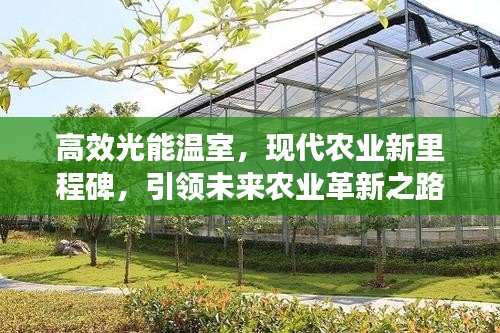 高效光能温室，现代农业新里程碑，引领未来农业革新之路