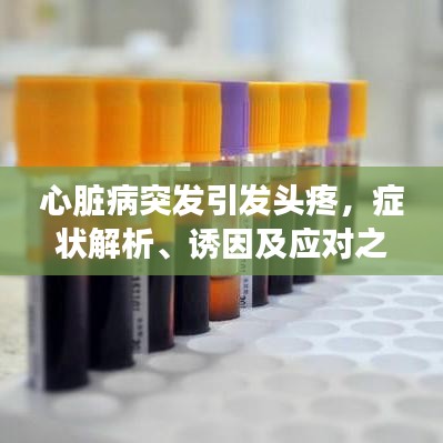 心脏病突发引发头疼，症状解析、诱因及应对之策