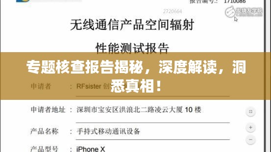 专题核查报告揭秘，深度解读，洞悉真相！