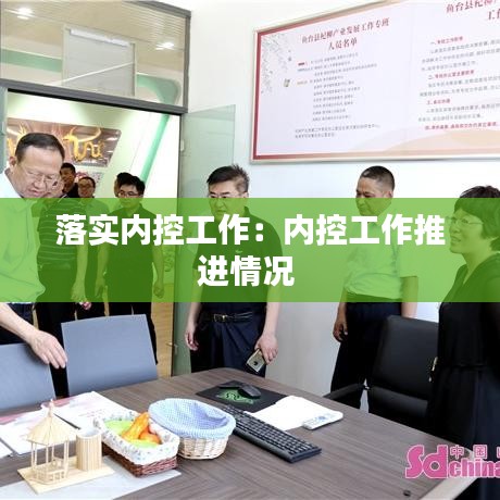 落实内控工作：内控工作推进情况 