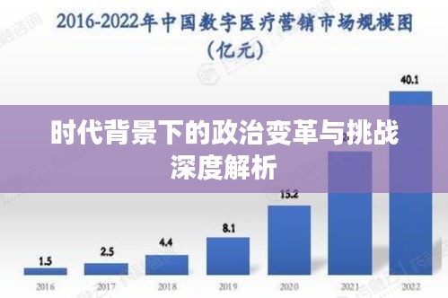 时代背景下的政治变革与挑战深度解析