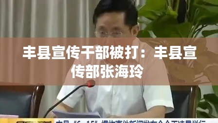 丰县宣传干部被打：丰县宣传部张海玲 