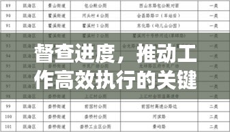 督查进度，推动工作高效执行的关键抓手