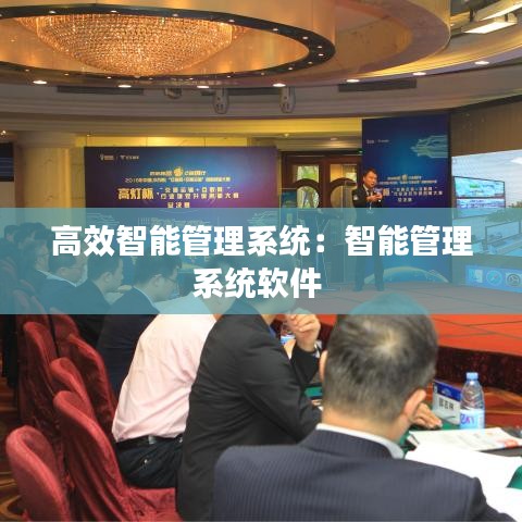 高效智能管理系统：智能管理系统软件 