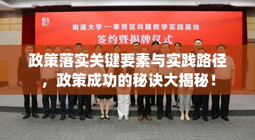 政策落实关键要素与实践路径，政策成功的秘诀大揭秘！