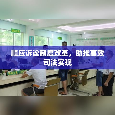 顺应诉讼制度改革，助推高效司法实现