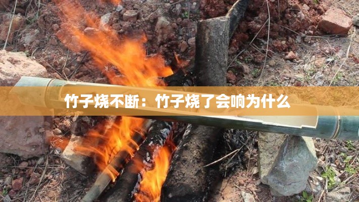 竹子烧不断：竹子烧了会响为什么 